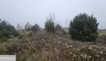 Działka rolna Nowa Wola