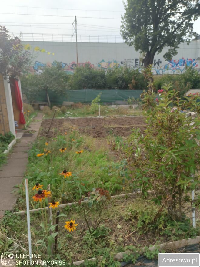 Działka rod Gdańsk Zaspa, ul. Franciszka Hynka. Zdjęcie 4