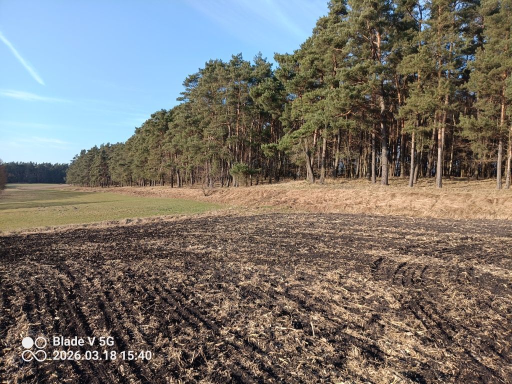 Działka rekreacyjna Małe Pułkowo. Zdjęcie 6