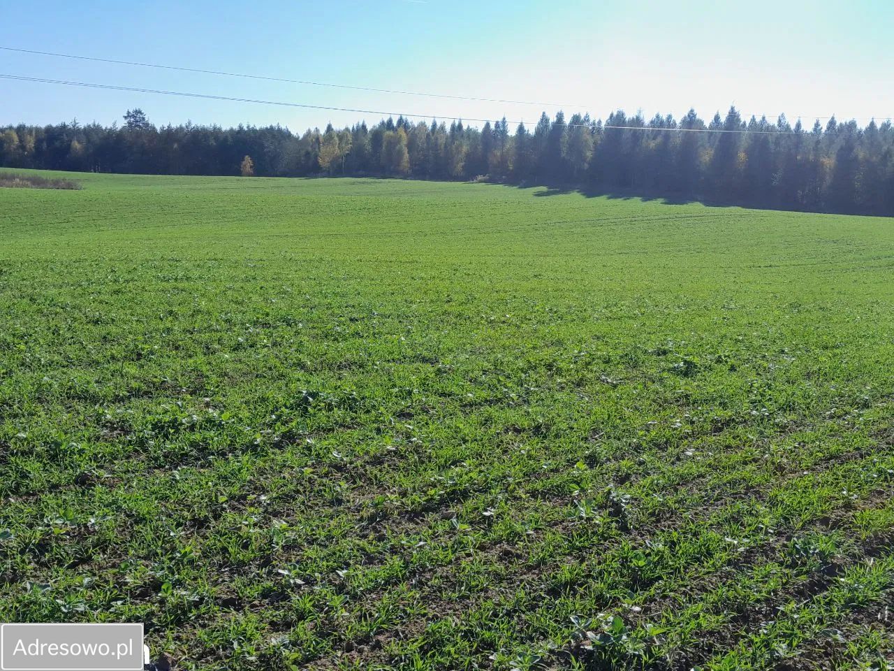 Działka rolno-budowlana Bezledy. Zdjęcie 14