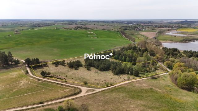 Działka rolna Rogale. Zdjęcie 5
