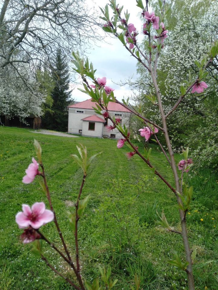 dom wolnostojący, 5 pokoi Dębowiec. Zdjęcie 2