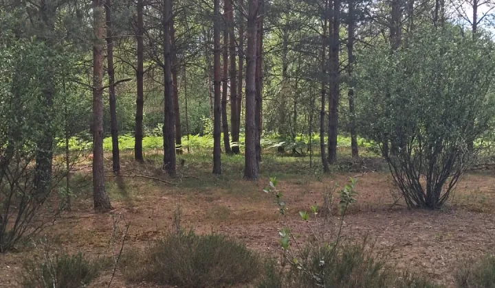 Działka rekreacyjna Karolówka