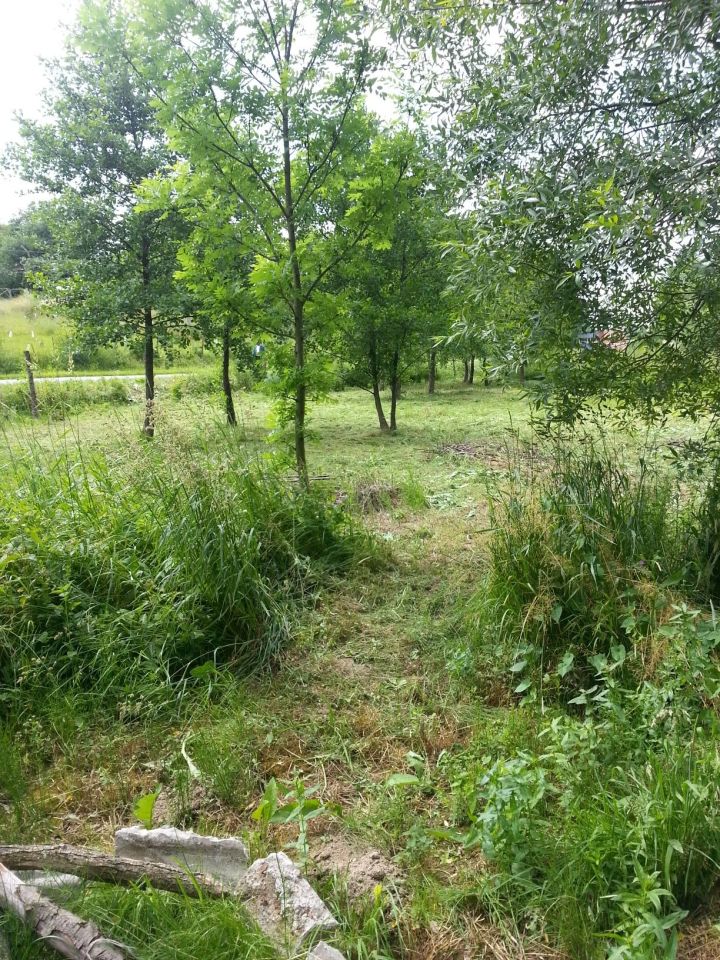 Działka rolna Szklary. Zdjęcie 2