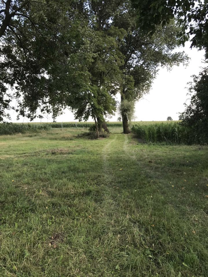 Działka inwestycyjna Karszew. Zdjęcie 6