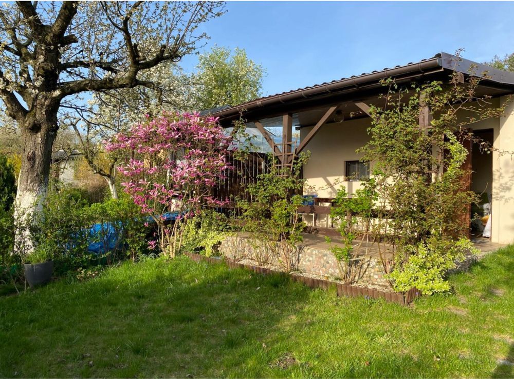 Działka rod Szczecin Niebuszewo, ul. Przyjaciół Żołnierza. Zdjęcie 2