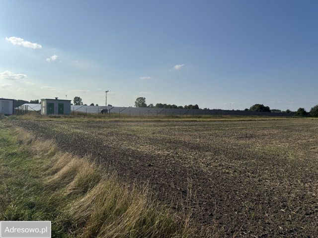 Działka rolno-budowlana Jedlno Drugie. Zdjęcie 1