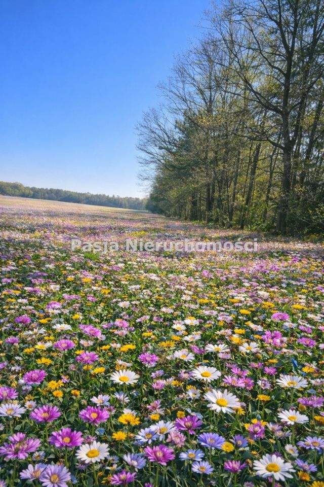 Działka budowlana Bądkowo Kościelne. Zdjęcie 3