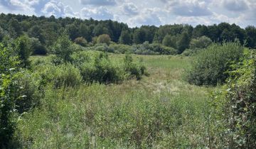 Działka siedliskowa Rożki Adamów