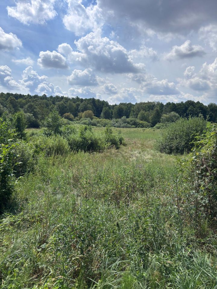 Działka siedliskowa Rożki Adamów. Zdjęcie 2