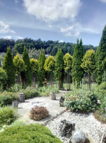 Działka rod Iława, ul. Podleśna. Zdjęcie 7