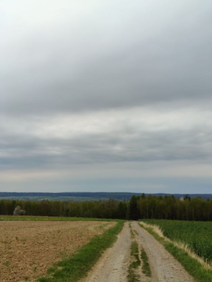 Działka budowlana Zastawie-Kolonia. Zdjęcie 4