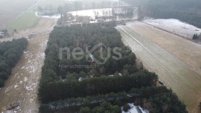Działka budowlana Drogoszowice. Zdjęcie 3