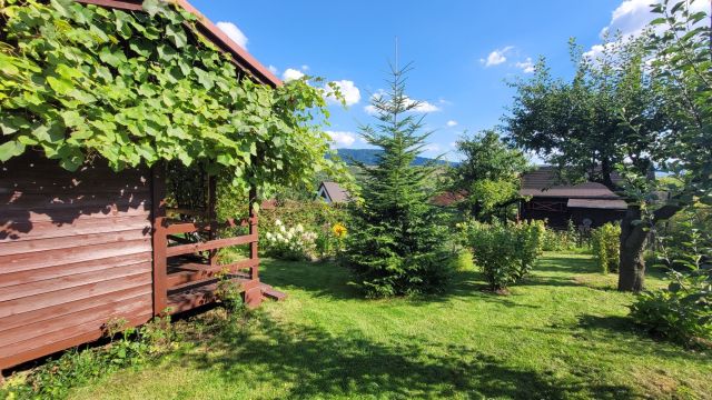 Działka rekreacyjna Bielsko-Biała. Zdjęcie 1