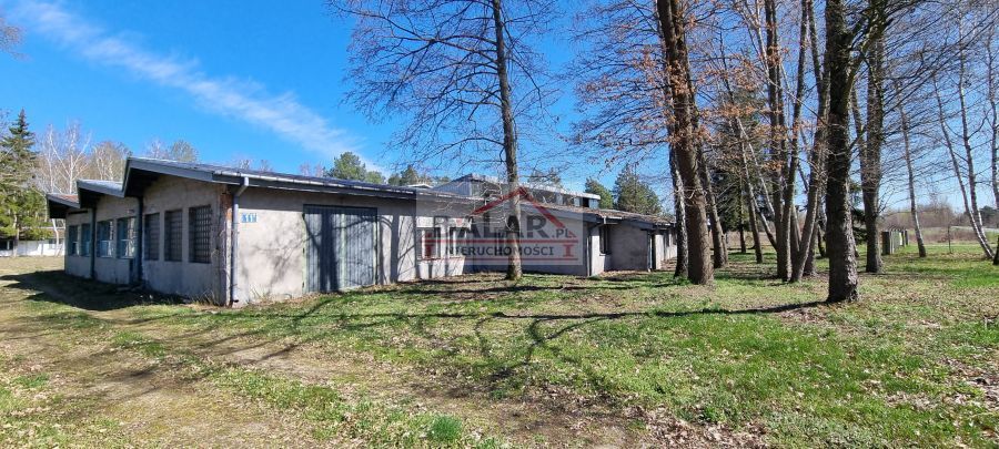 Lokal Sierzchów. Zdjęcie 4