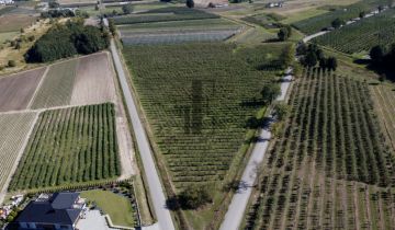 Działka rolna Boglewice