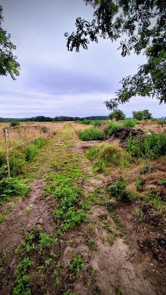 Działka rolna Jedlice Brzostowo. Zdjęcie 3