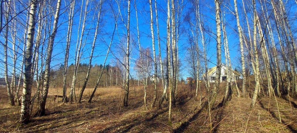 Działka budowlana Różnowo. Zdjęcie 17