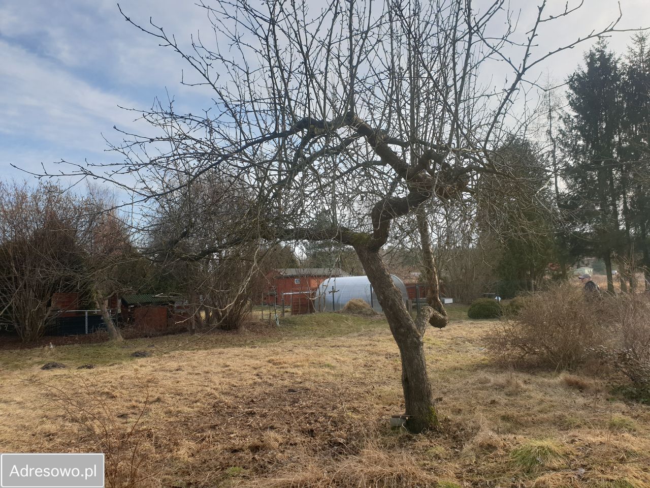 Działka rod Łochów, ul. Fabryczna. Zdjęcie 4