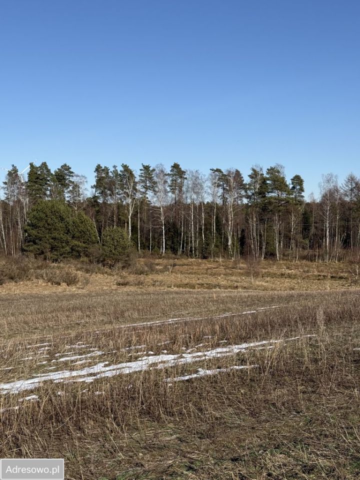 Działka siedliskowa Chrzanowo. Zdjęcie 11