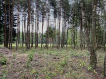 Działka budowlana Budy Mszczonowskie. Zdjęcie 3