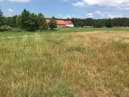 Działka budowlana Ciele, ul. Piękna 8