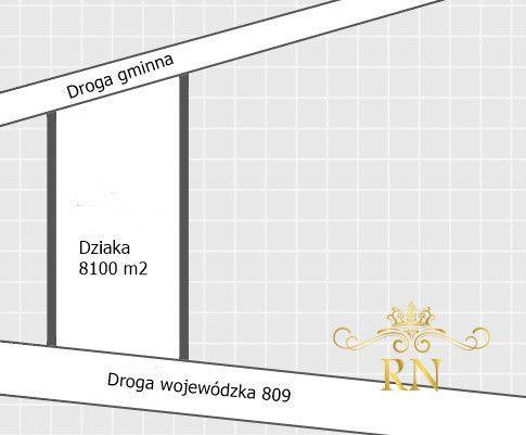 Działka rolna Rudno. Zdjęcie 9