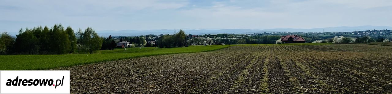 Działka siedliskowa Smardzowice, ul. Na Kliny. Zdjęcie 1