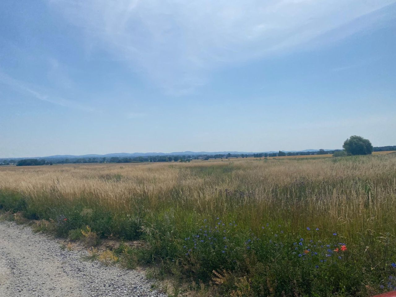 Działka budowlana Lutomia Górna, ul. Widokowa. Zdjęcie 3