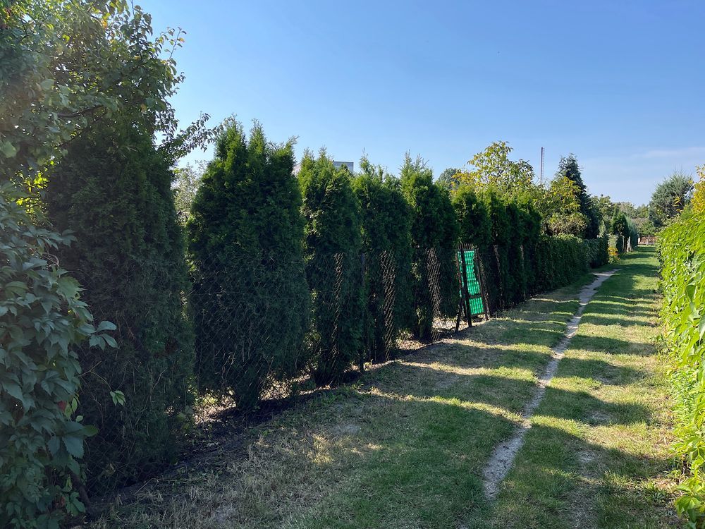 Działka rod Łuków. Zdjęcie 2