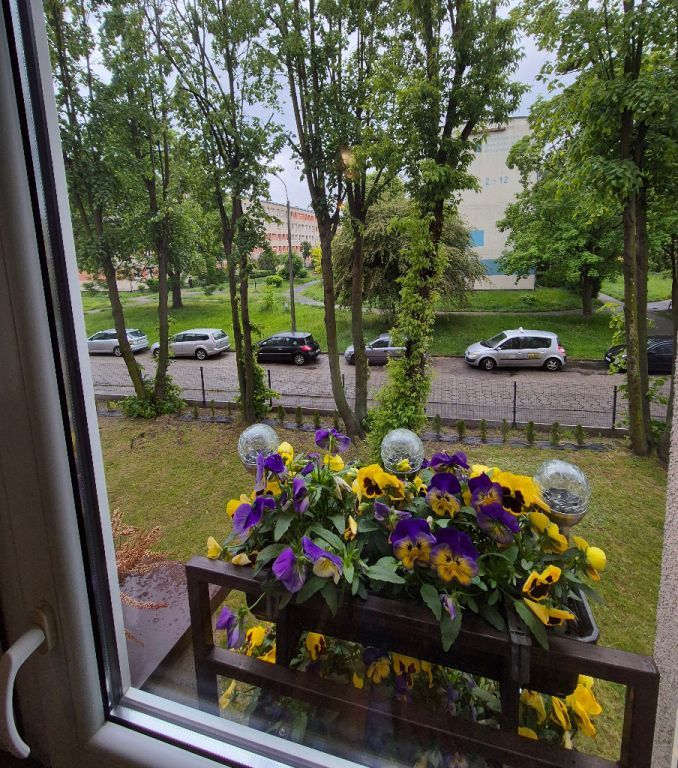 Mieszkanie 1-pokojowe Sosnowiec, ul. Gospodarcza. Zdjęcie 6