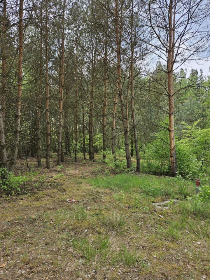 Działka rolno-budowlana Radziwiłłów, ul. Kota Filemona. Zdjęcie 7