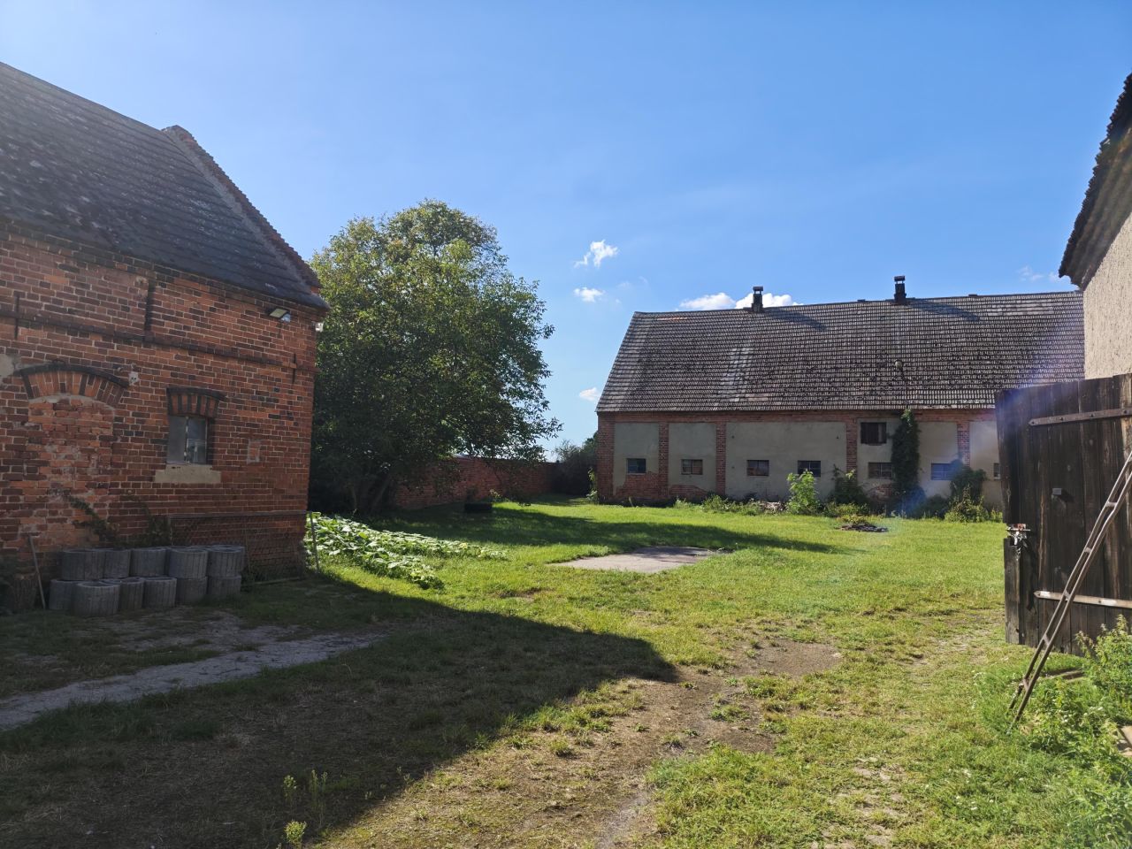 gospodarstwo, 3 pokoje Bucze. Zdjęcie 7