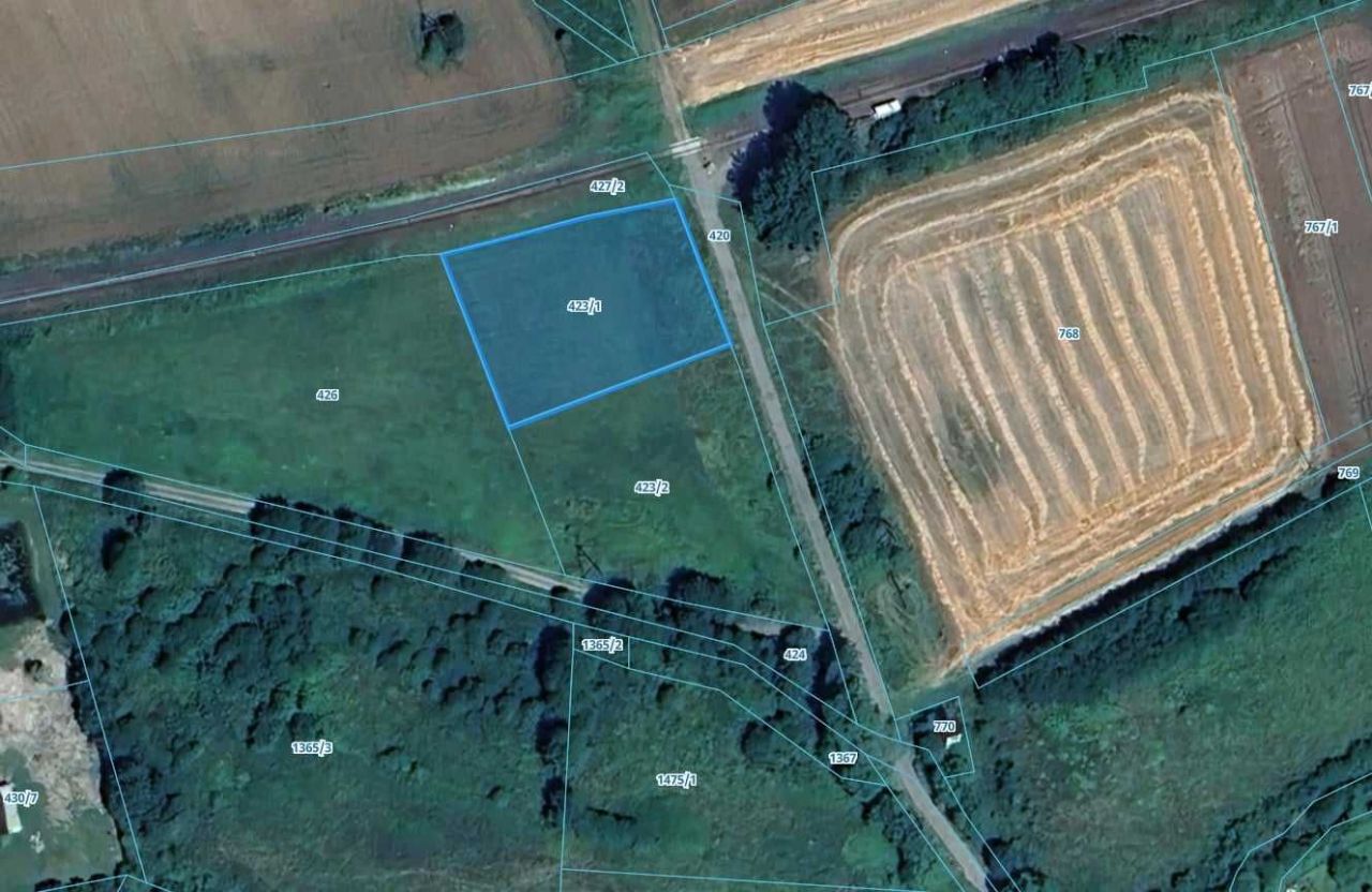 Działka inwestycyjna Stary Wielisław. Zdjęcie 4