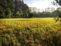 Działka siedliskowa Skuły, ul. Ekologiczna. Zdjęcie 3