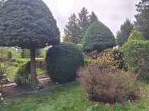 Działka rod Łódź Widzew, ul. Pomorska. Zdjęcie 3