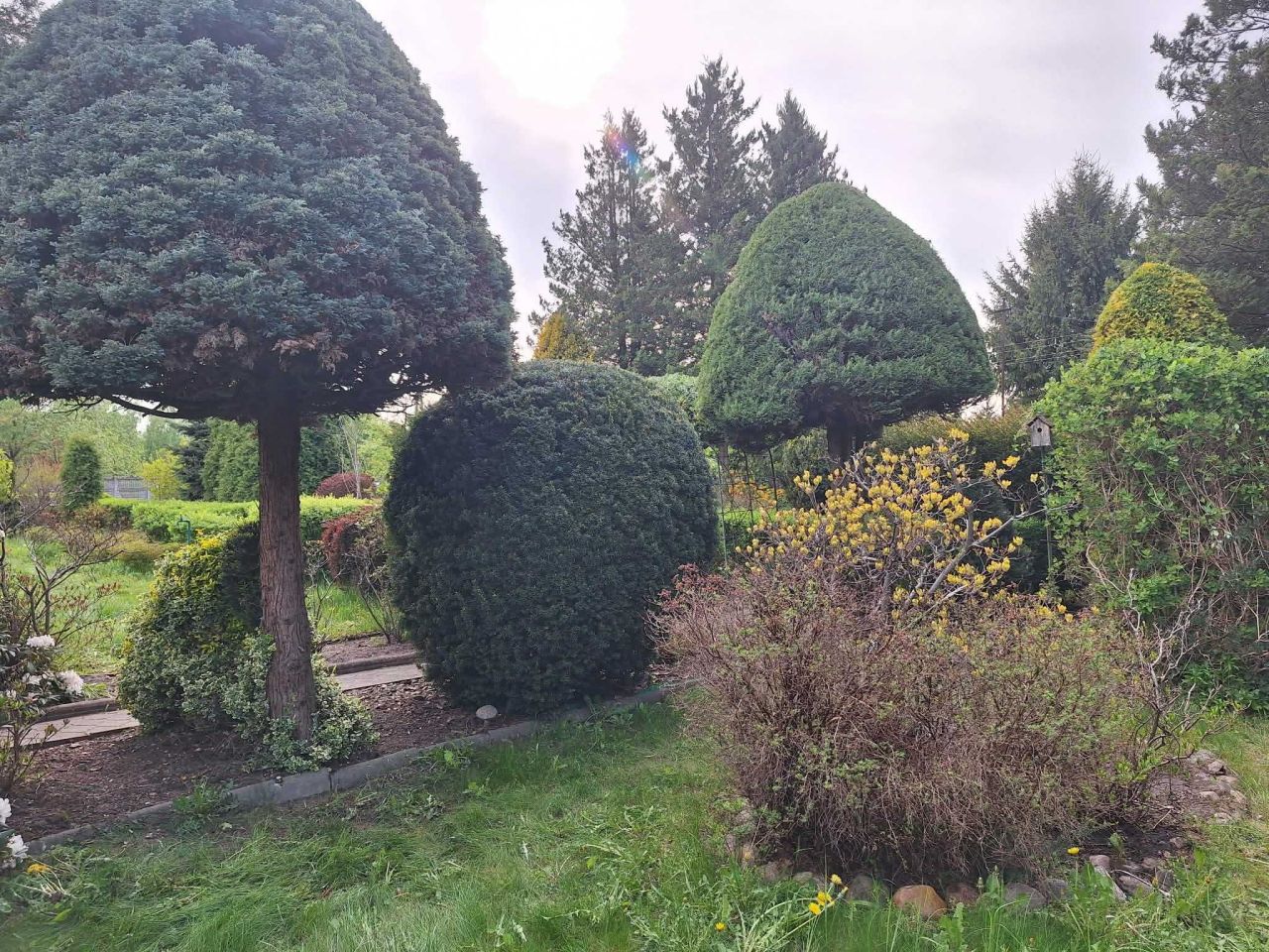 Działka rod Łódź Widzew, ul. Pomorska. Zdjęcie 4