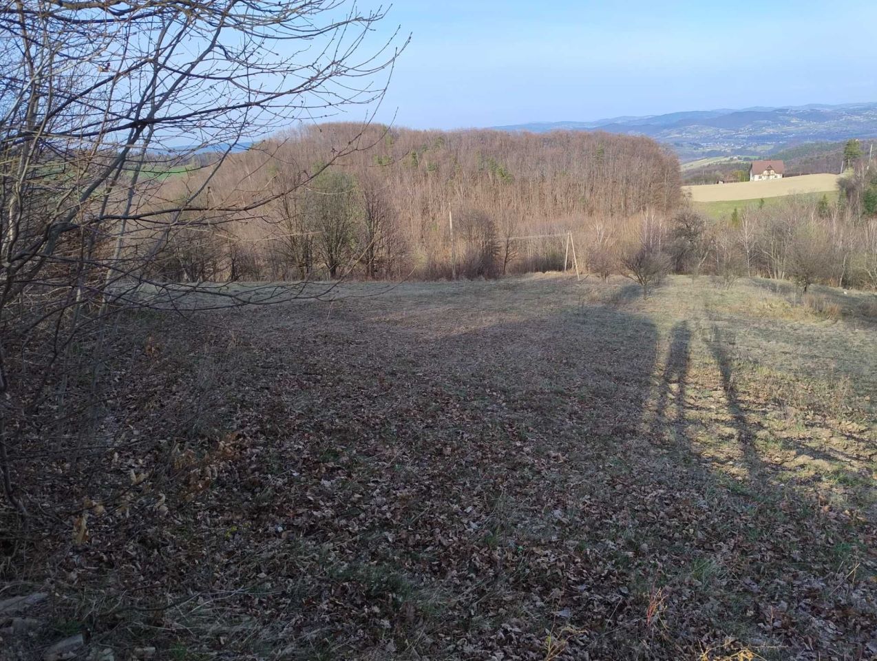 Działka rolna Stańkowa. Zdjęcie 8