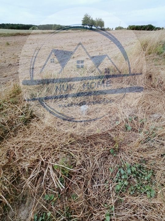 Działka budowlana Czarne Dolne. Zdjęcie 2