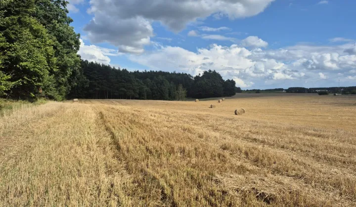 Działka rolno-budowlana Kiełpino, ul. Pod Lasem