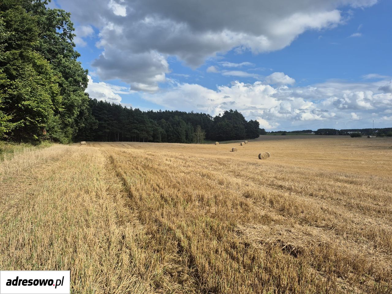 Działka rolno-budowlana Kiełpino, ul. Pod Lasem. Zdjęcie 1