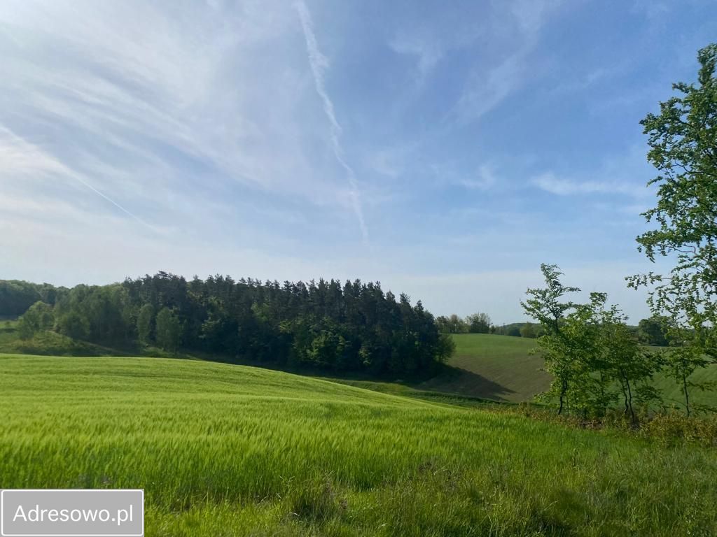 Działka budowlana Częstocin. Zdjęcie 2
