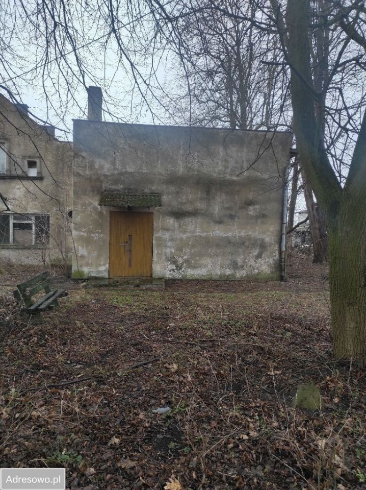 Lokal Dargoszewo. Zdjęcie 4