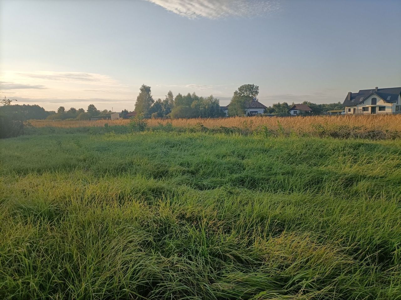 Działka budowlana Buczków
