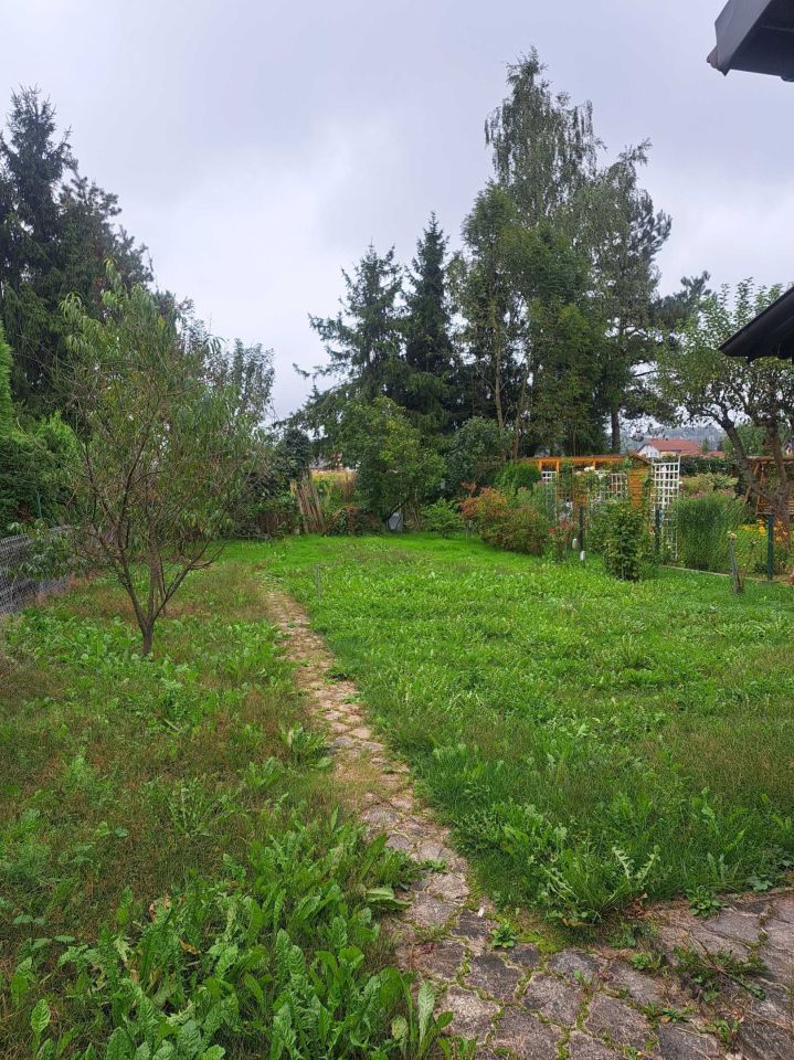 Działka rod Dobczyce. Zdjęcie 4