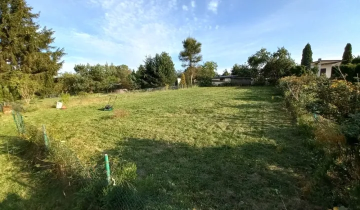 Działka rod Sosnowiec, ul. Okólna