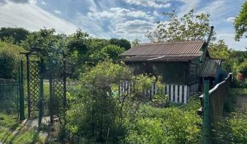 Działka rod Wrocław Kozanów, ul. Zabłocie