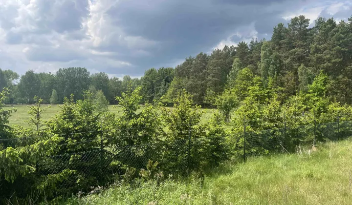 Działka inna Międzylesie, ul. Jeziorna