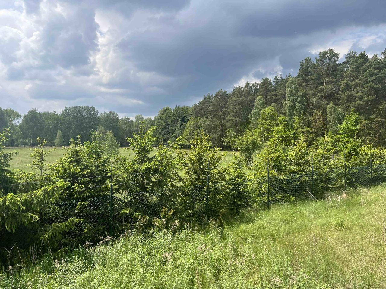 Działka inna Międzylesie, ul. Jeziorna. Zdjęcie 1