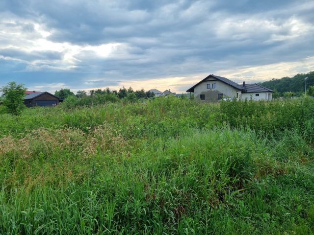 Działka budowlana Kotowice, ul. Dębowa. Zdjęcie 2